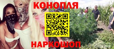 шишки Уссурийск