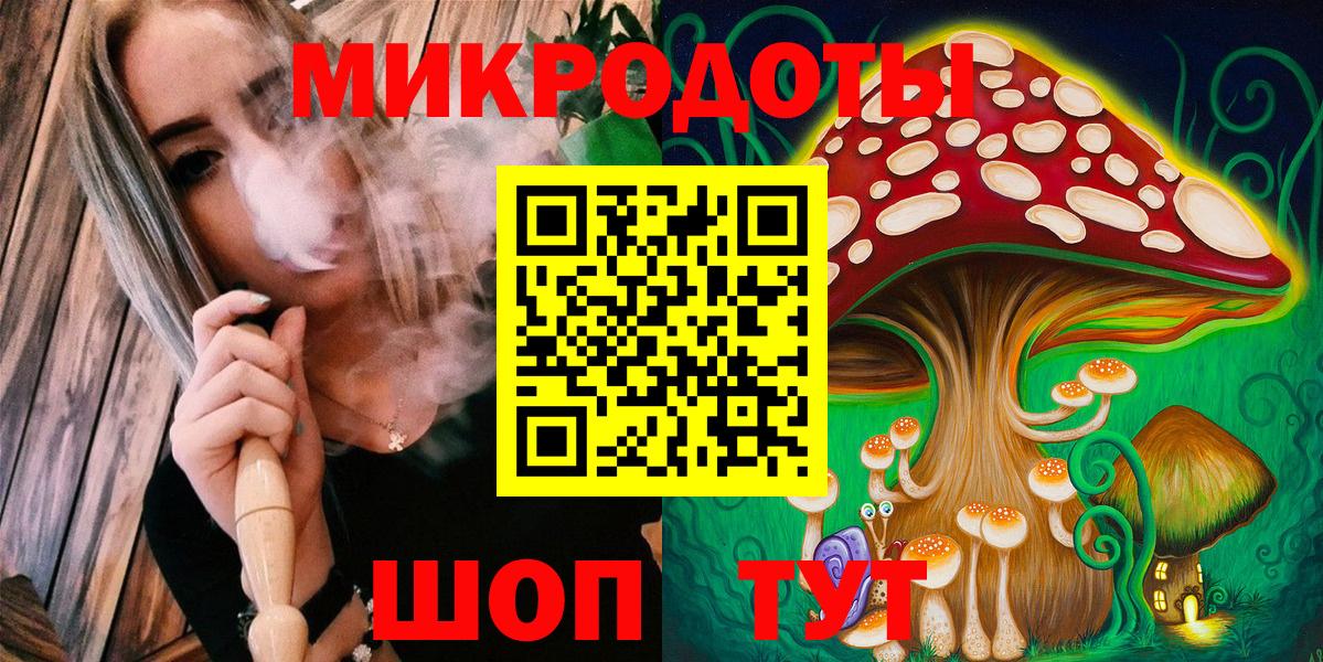 Псилоцибиновые грибы Cubensis Мурманск